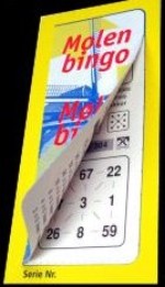 Bingo spielen ohne Ziehungsgerät